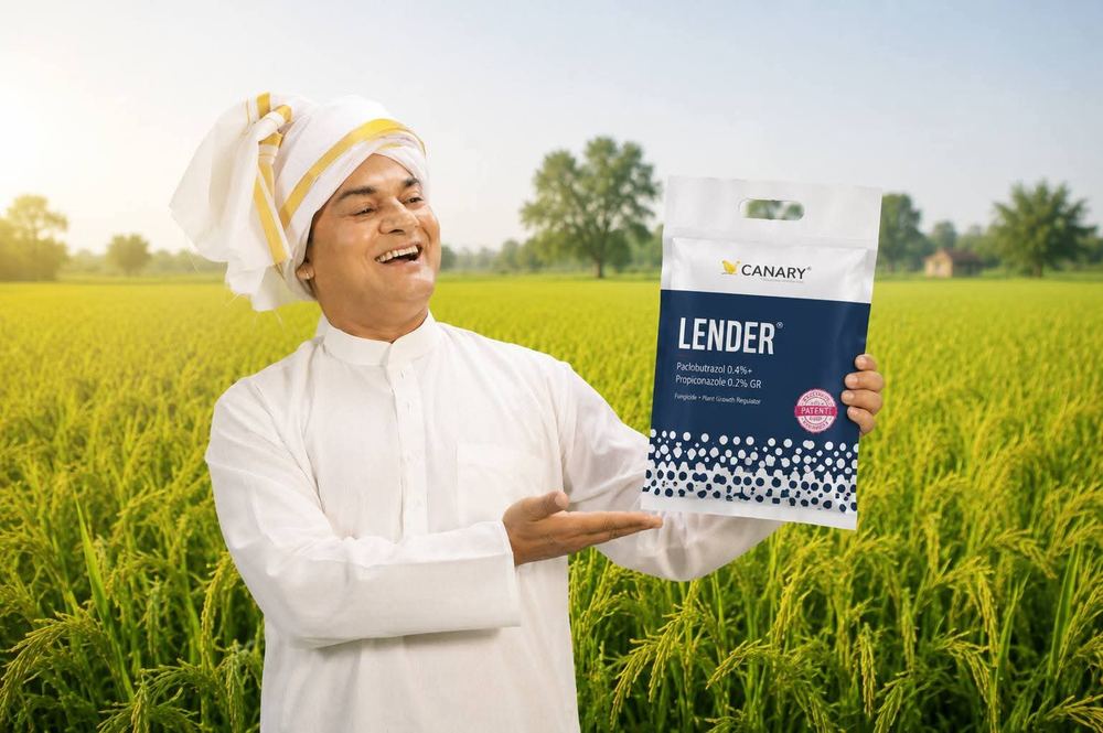 Canary Lender campaign - TnTP Ads