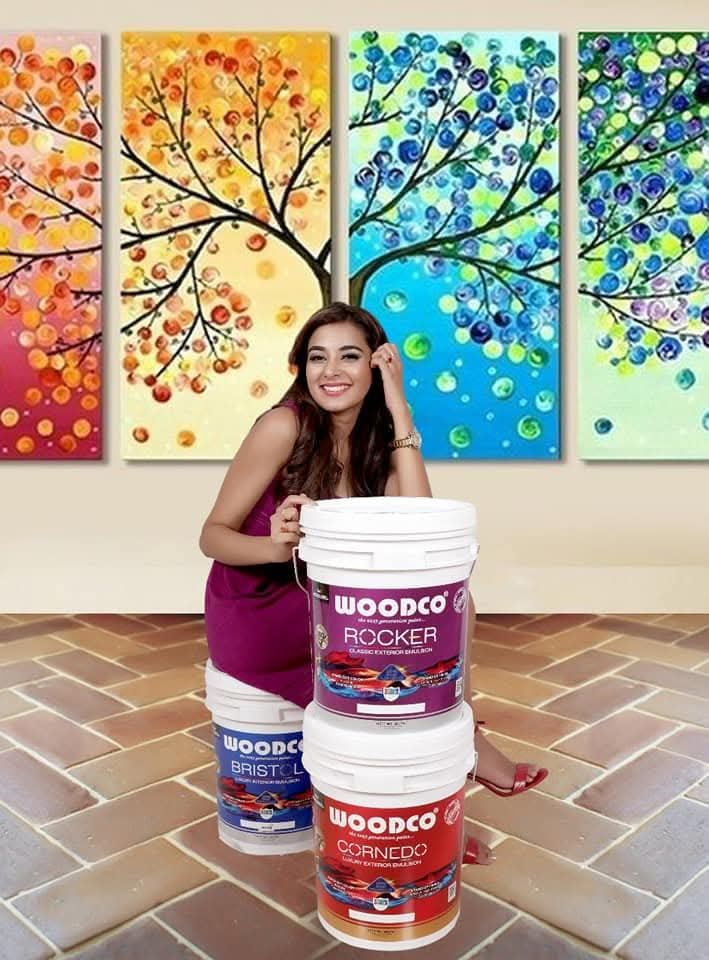 Woodco Paints campaign - TnTP Ads
