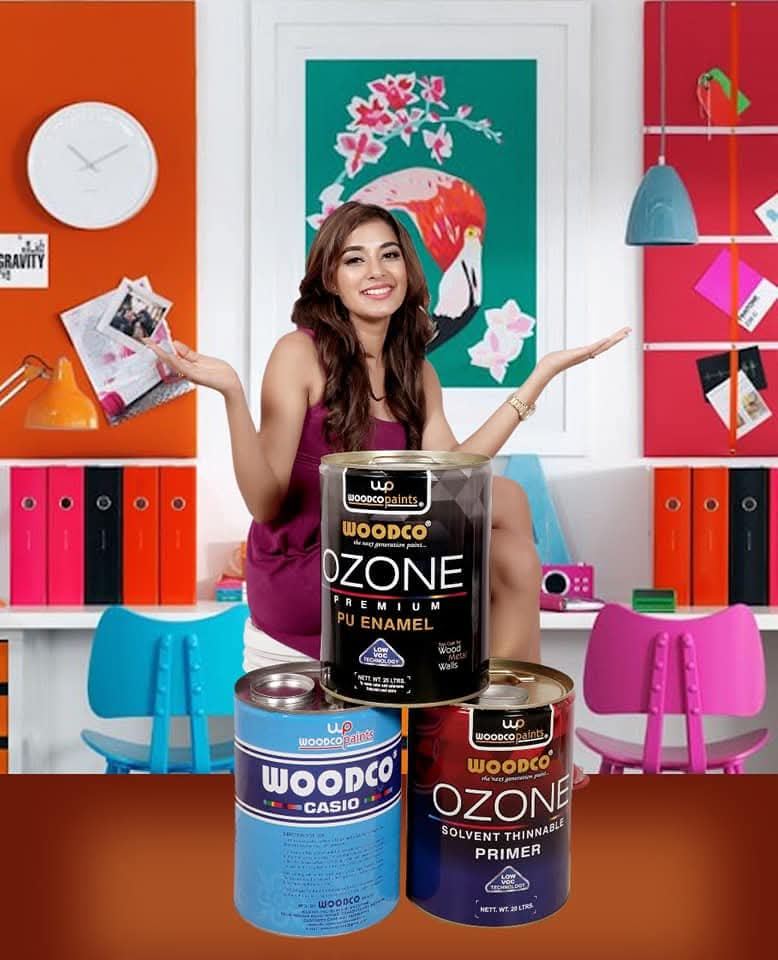 Woodco Paints campaign - TnTP Ads